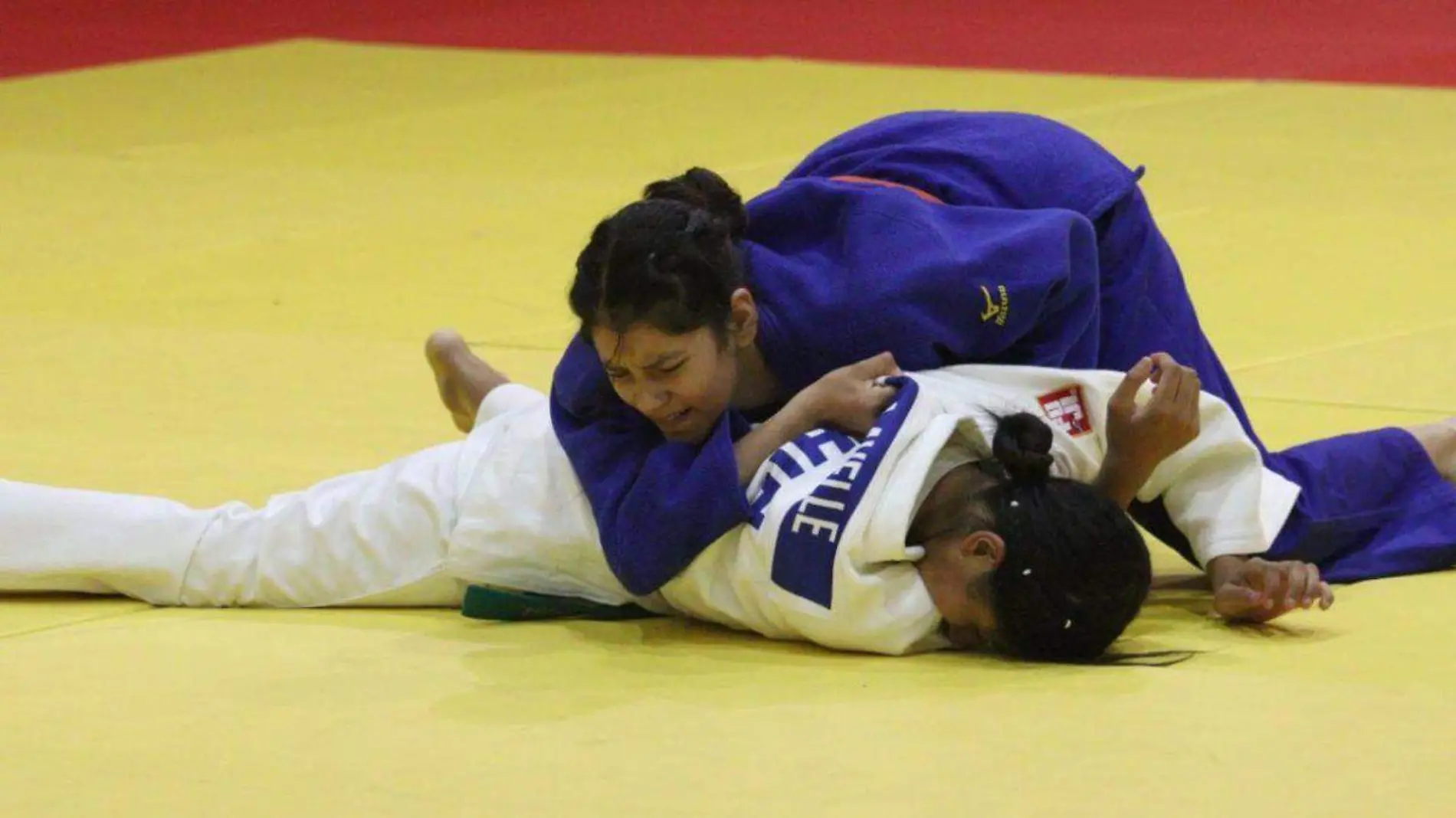 JUDO WEB